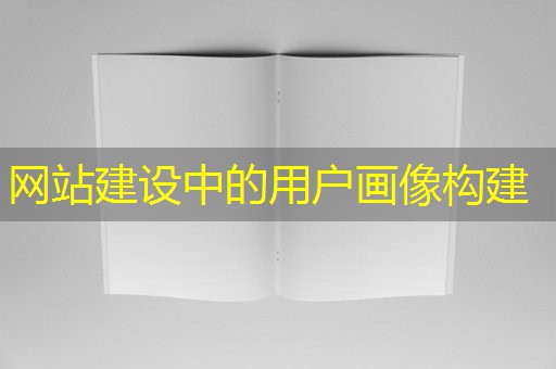 网站建设中的用户画像构建 网站建设中的用户画像构建