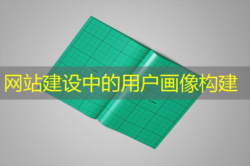 网站建设中的用户画像构建 网站建设中的用户画像构建