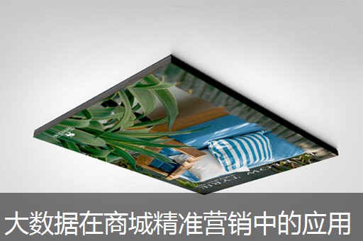 大数据在商城精准营销中的应用 大数据在商城精准营销中的应用