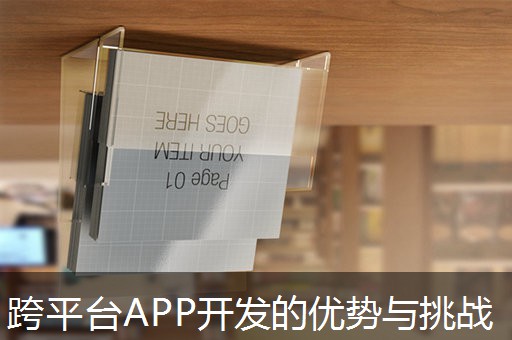 跨平台APP开发的优势与挑战