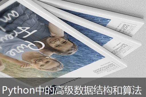 Python中的高级数据结构和算法