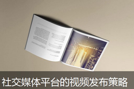 社交媒体平台的视频发布策略