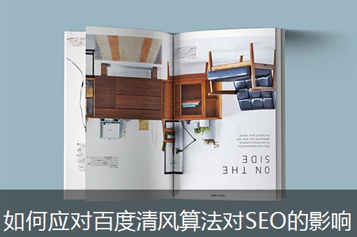 如何应对百度清风算法对SEO的影响