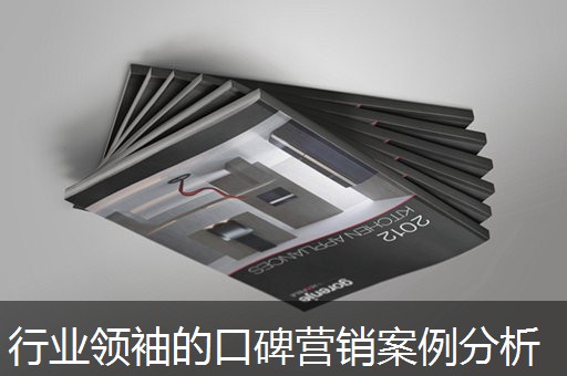 行业领袖的口碑营销案例分析