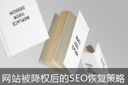 网站被降权后的SEO恢复策略