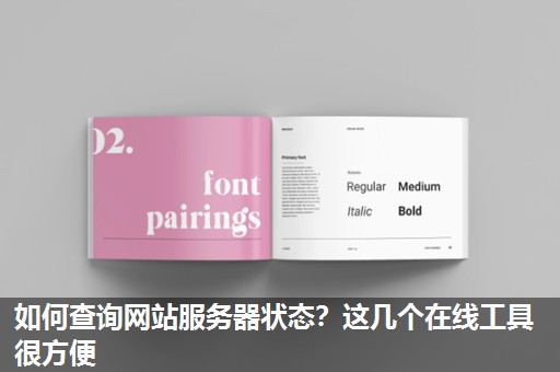 如何查询网站服务器状态？这几个在线工具很方便