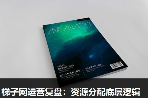 梯子网运营复盘:资源分配底层逻辑 梯子网运营复盘:资源分配底层逻辑