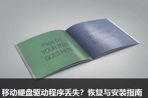 移动硬盘驱动程序丢失?恢复与安装指南 移动硬盘驱动程序丢失?恢复与安装指南
