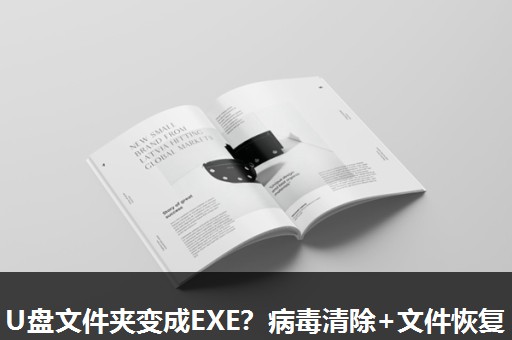 U盘文件夹变成EXE？病毒清除+文件恢复