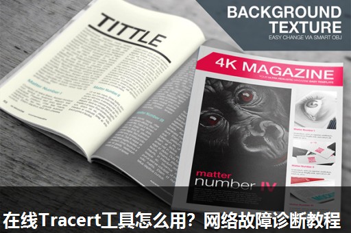 在线Tracert工具怎么用?网络故障诊断教程 在线Tracert工具怎么用?网络故障诊断教程