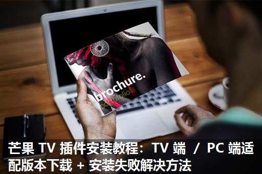 芒果 TV 插件安装教程：TV 端 ／ PC 端适配版本下载 + 安装失败解决方法​