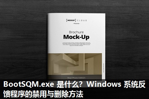 BootSQM.exe 是什么?Windows 系统反馈程序的禁用与删除方法 BootSQM.exe 是什么?Windows 系统反馈程序的禁用与删除方法