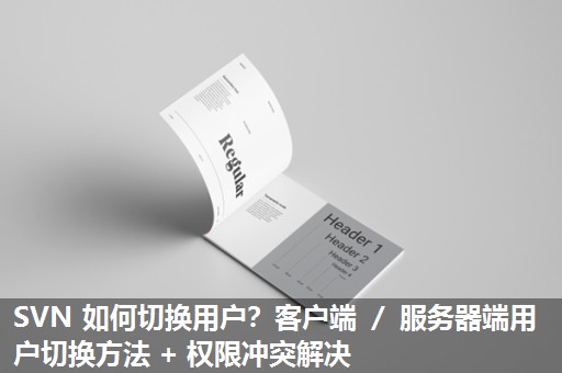 SVN 如何切换用户？客户端 ／ 服务器端用户切换方法 + 权限冲突解决​