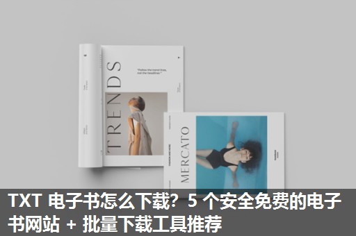 TXT 电子书怎么下载？5 个安全免费的电子书网站 + 批量下载工具推荐​