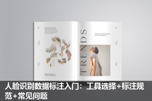 人脸识别数据标注入门:工具选择+标注规范+常见问题 人脸识别数据标注入门:工具选择+标注规范+常见问题