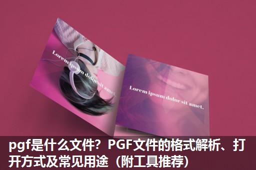 pgf是什么文件？PGF文件的格式解析、打开方式及常见用途（附工具推荐）