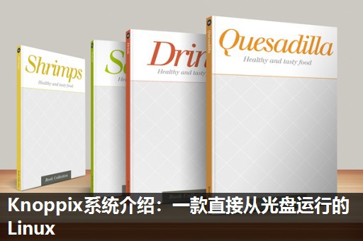 Knoppix系统介绍:一款直接从光盘运行的Linux Knoppix系统介绍:一款直接从光盘运行的Linux