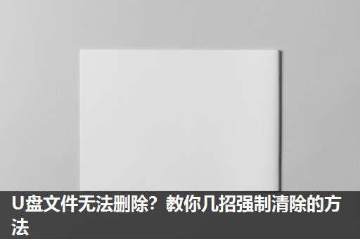 U盘文件无法删除？教你几招强制清除的方法