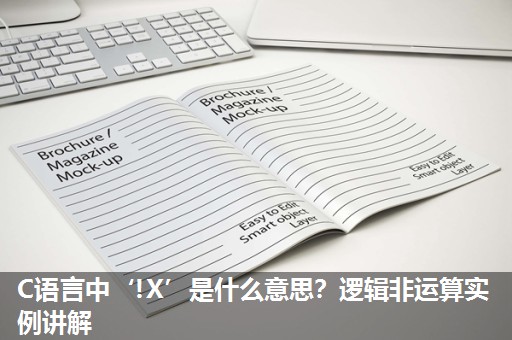 C语言中‘!X’是什么意思?逻辑非运算实例讲解 C语言中‘!X’是什么意思?逻辑非运算实例讲解