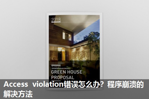 Access violation错误怎么办？程序崩溃的解决方法
