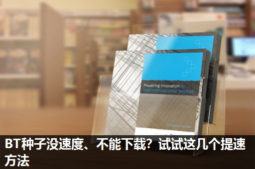 BT种子没速度、不能下载？试试这几个提速方法
