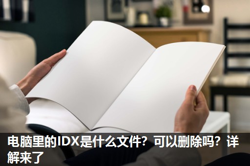 电脑里的IDX是什么文件？可以删除吗？详解来了