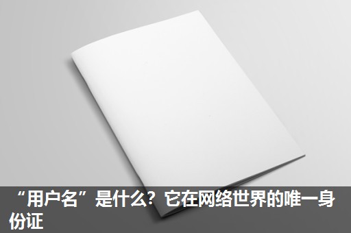 “用户名”是什么?它在网络世界的唯一身份证 “用户名”是什么?它在网络世界的唯一身份证