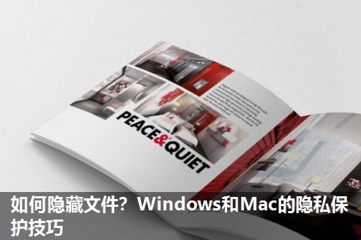 如何隐藏文件？Windows和Mac的隐私保护技巧
