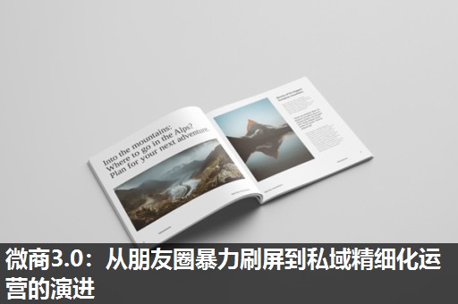 微商3.0：从朋友圈暴力刷屏到私域精细化运营的演进