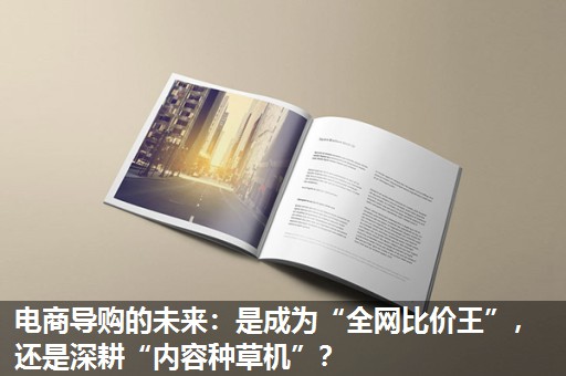 电商导购的未来:是成为“全网比价王”,还是深耕“内容种草机”? 电商导购的未来:是成为“全网比价王”,还是深耕“内容种草机”?