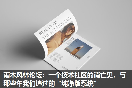 雨木风林论坛:一个技术社区的消亡史,与那些年我们追过的“纯净版系统” 雨木风林论坛:一个技术社区的消亡史,与那些年我们追过的“纯净版系统”