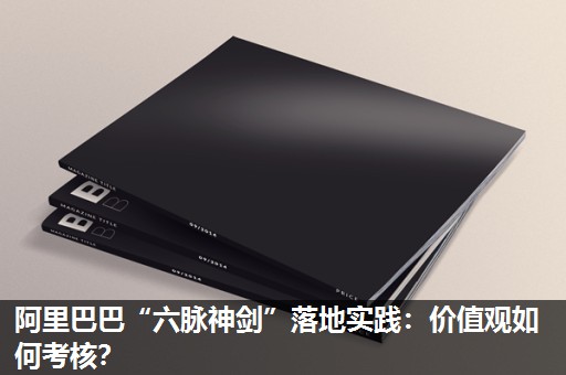 阿里巴巴“六脉神剑”落地实践：价值观如何考核？