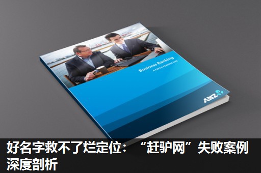 好名字救不了烂定位:“赶驴网”失败案例深度剖析 好名字救不了烂定位:“赶驴网”失败案例深度剖析