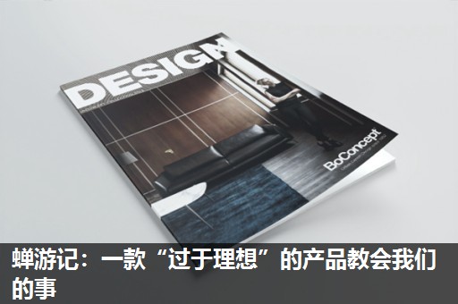 蝉游记：一款“过于理想”的产品教会我们的事