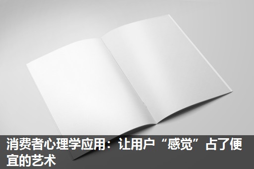 消费者心理学应用:让用户“感觉”占了便宜的艺术 消费者心理学应用:让用户“感觉”占了便宜的艺术