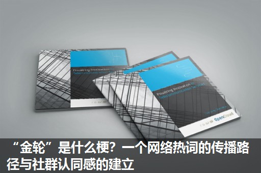 “金轮”是什么梗?一个网络热词的传播路径与社群认同感的建立 “金轮”是什么梗?一个网络热词的传播路径与社群认同感的建立