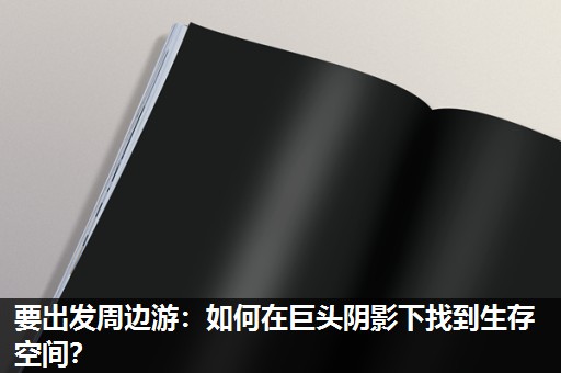 要出发周边游：如何在巨头阴影下找到生存空间？