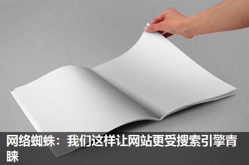 网络蜘蛛：我们这样让网站更受搜索引擎青睐