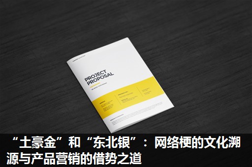 “土豪金”和“东北银”:网络梗的文化溯源与产品营销的借势之道 “土豪金”和“东北银”:网络梗的文化溯源与产品营销的借势之道