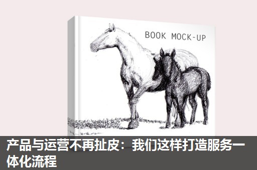 产品与运营不再扯皮:我们这样打造服务一体化流程 产品与运营不再扯皮:我们这样打造服务一体化流程