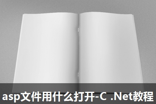 asp文件用什么打开-C .Net教程