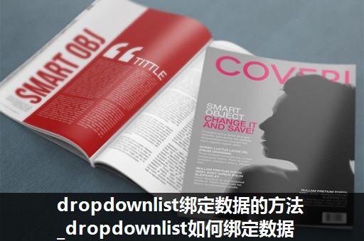 dropdownlist绑定数据的方法_dropdownlist如何绑定数据